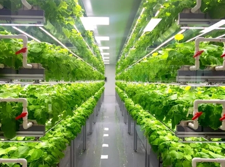 AI-Driven Vertical Farming System - view 1